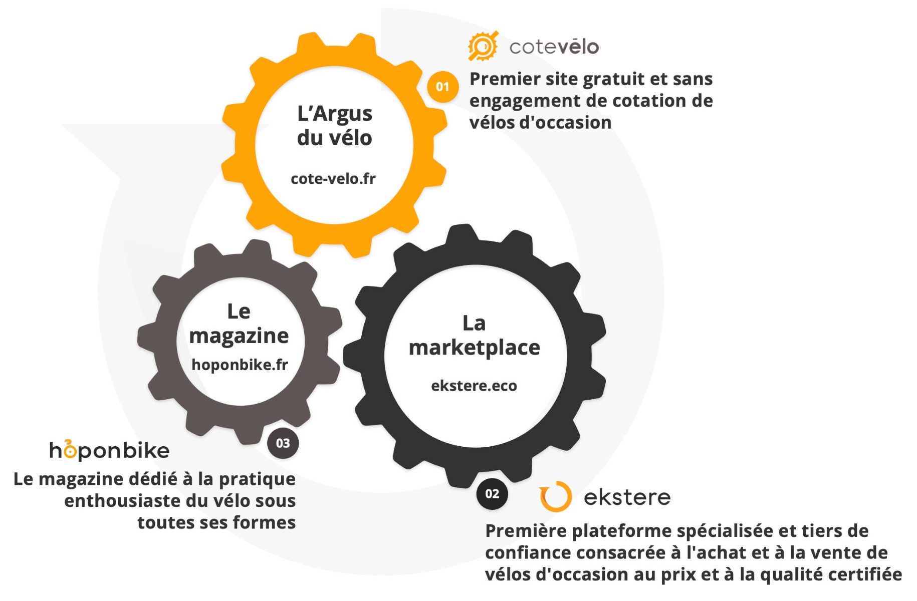 ecosysteme ekstere